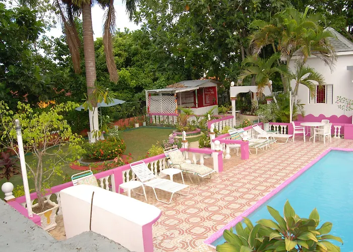 Pinkhibiscus 3*