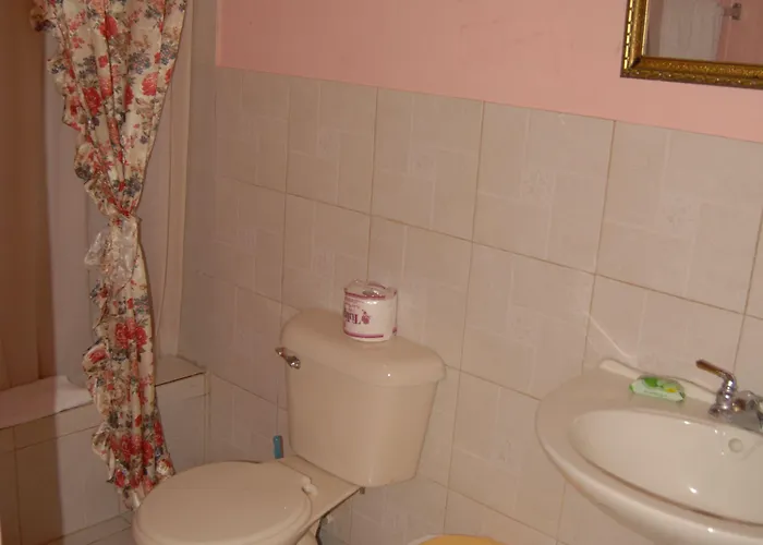 Hotel Pinkhibiscus Montego Bay